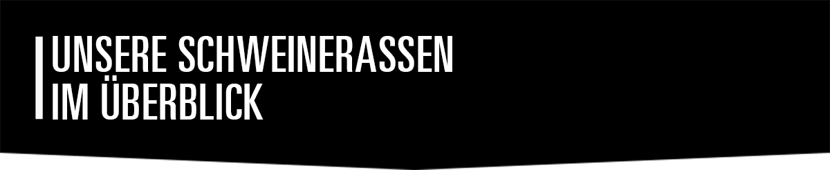 Schweine Teilstckkunde