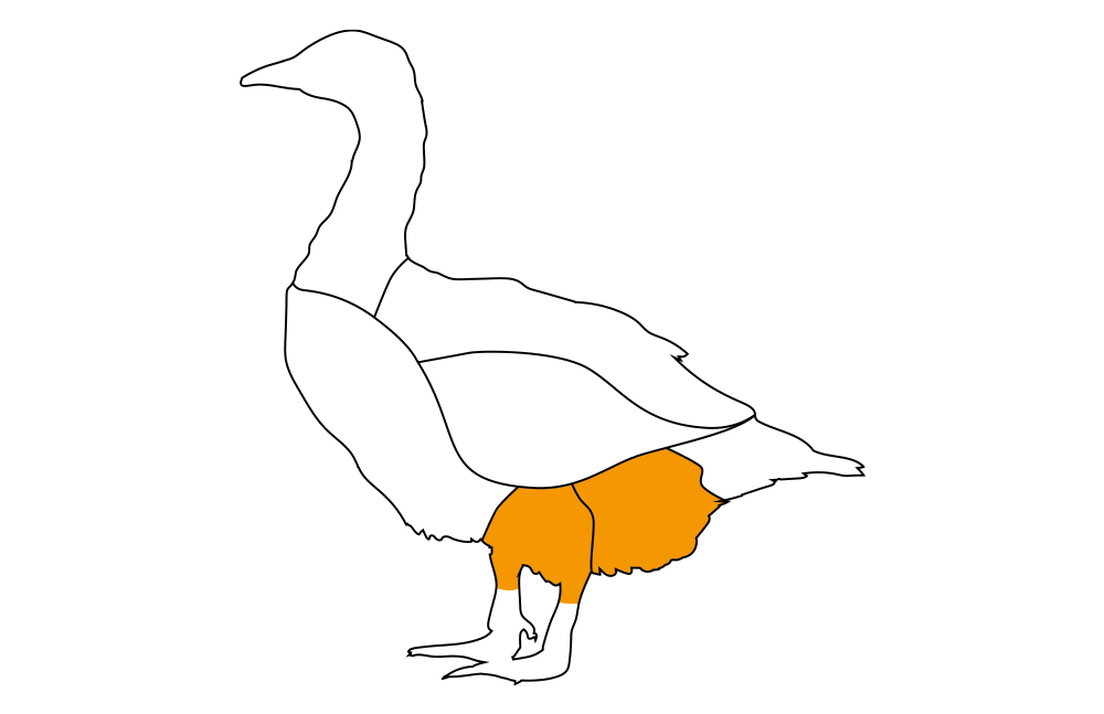 G�nsekeule