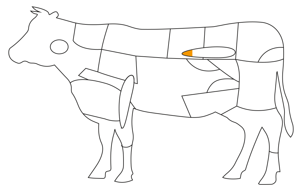 Teilst�ck vom Rind: Filetspitze