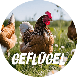 Gefl�gel