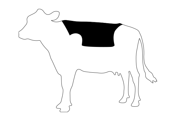 Zarter Kalbsrcken