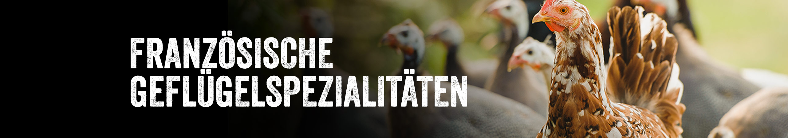 Geflgel,Frz Geflgelspezialitten