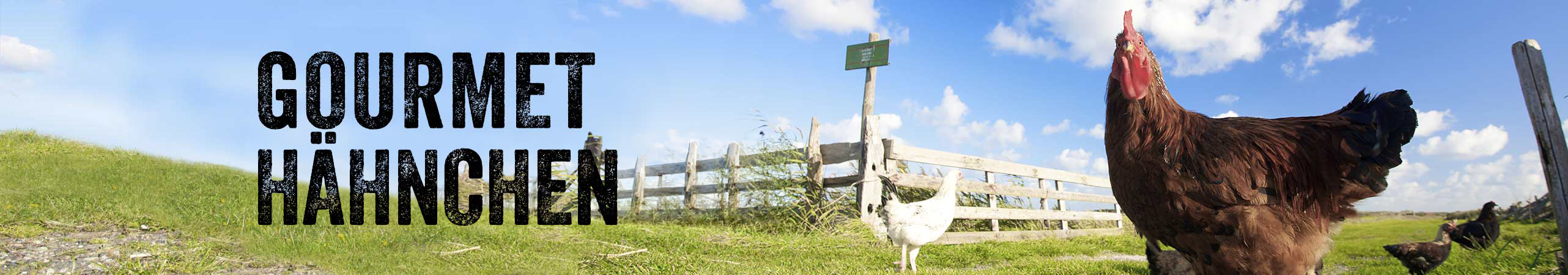 Gefl�gel,Gourmet H�hnchen