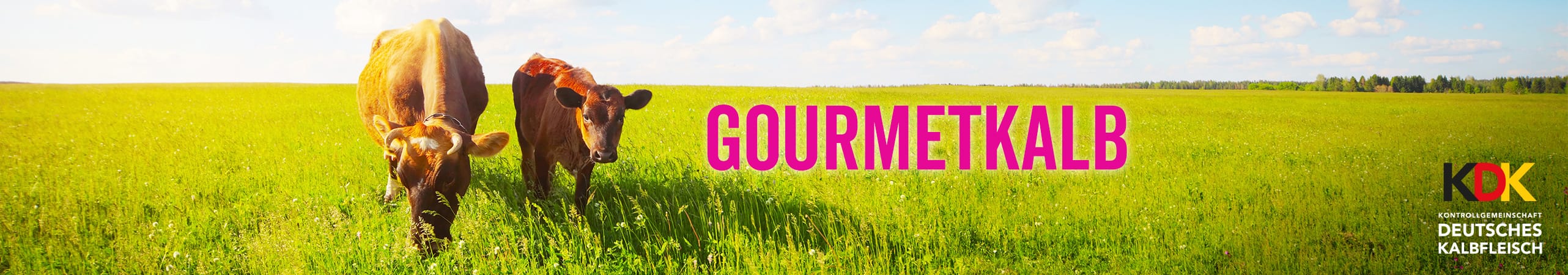 Rind,Gourmetkalb
